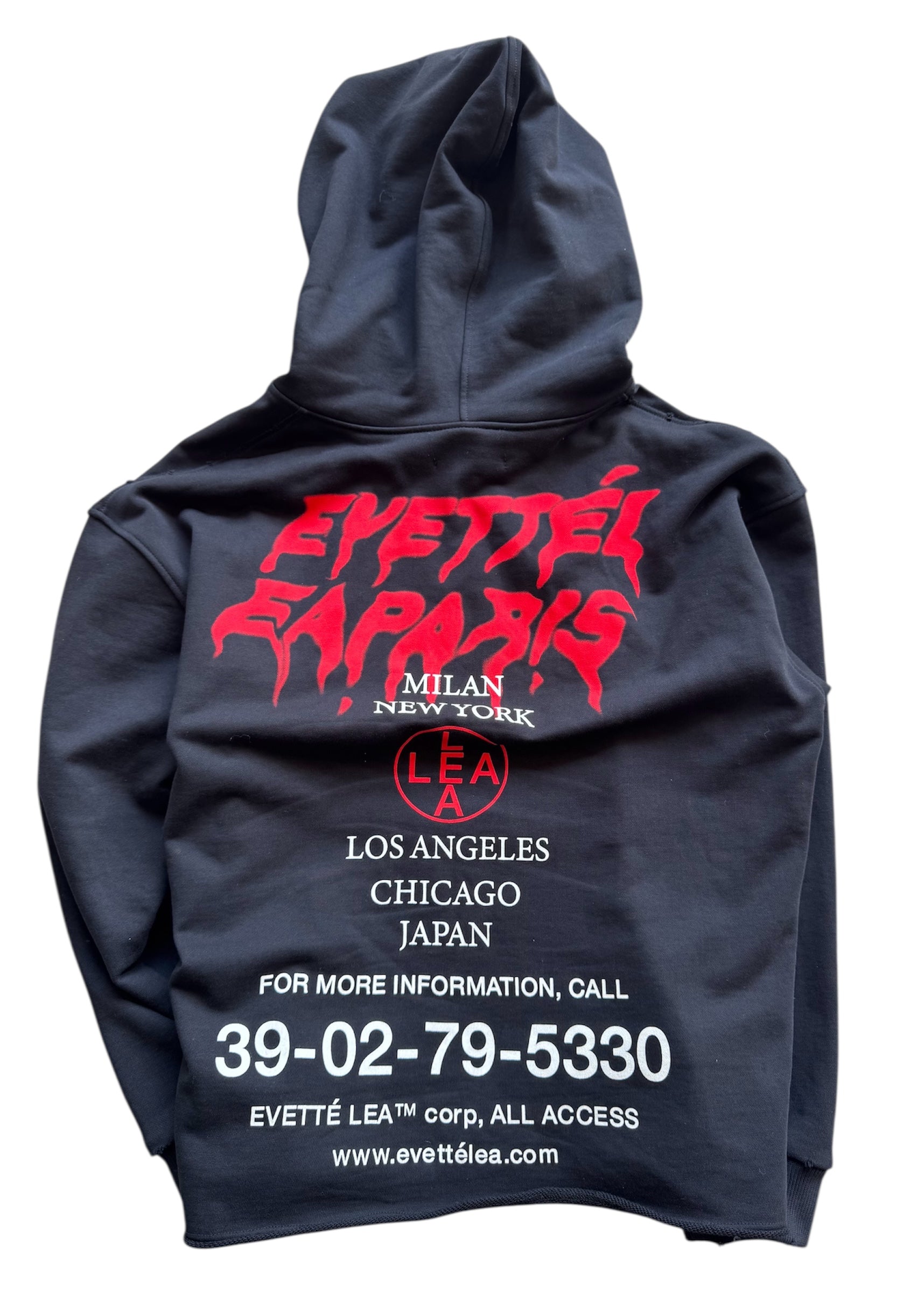 World Tour Hoodie